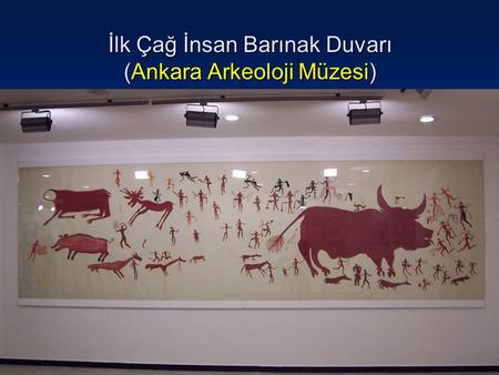 İlk Çağ İnsan Barınak Duvarı (Ankara Arkeoloji Müzesi)