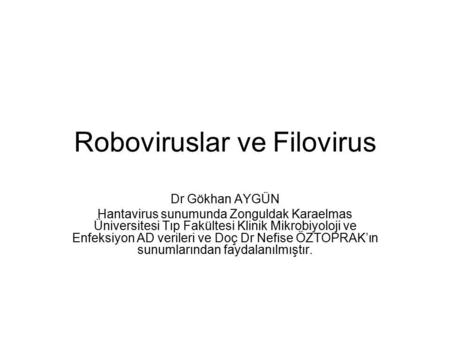 Roboviruslar ve Filovirus