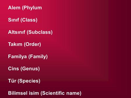 Alem (Phylum Sınıf (Class) Altsınıf (Subclass) Takım (Order)
