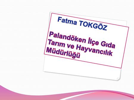 Fatma TOKGÖZ Palandöken İlçe Gıda Tarım ve Hayvancılık Müdürlüğü.