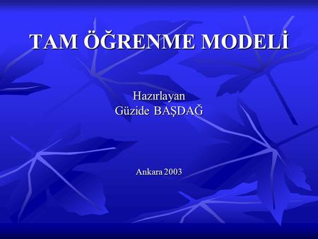 TAM ÖĞRENME MODELİ Hazırlayan Güzide BAŞDAĞ Ankara 2003.