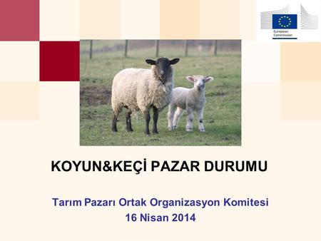 Tarım Pazarı Ortak Organizasyon Komitesi 16 Nisan 2014 KOYUN&KEÇİ PAZAR DURUMU.