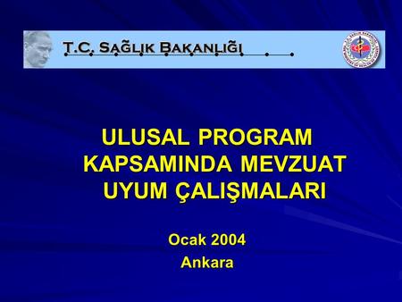 ULUSAL PROGRAM KAPSAMINDA MEVZUAT UYUM ÇALIŞMALARI Ocak 2004 Ankara.