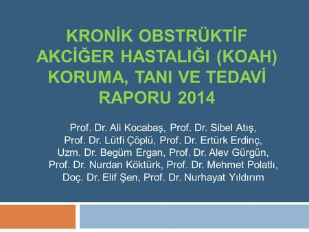 Prof. Dr. Ali Kocabaş, Prof. Dr. Sibel Atış, Prof. Dr