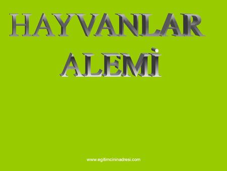 HAYVANLAR ALEMİ www.egitimcininadresi.com.