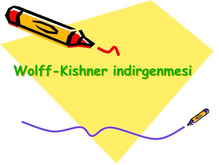 Wolff-Kishner indirgenmesi