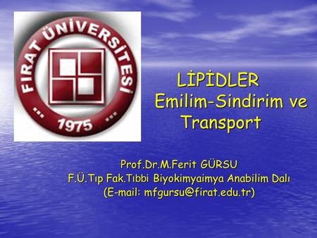 LİPİDLER Emilim-Sindirim ve Transport