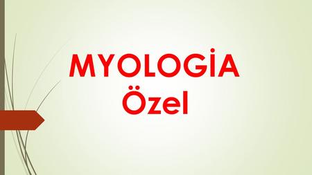 MYOLOGİA Özel.