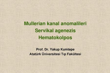 Mullerian kanal anomalileri Atatürk Üniversitesi Tıp Fakültesi