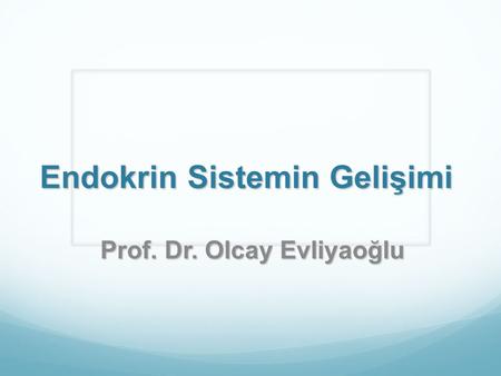 Endokrin Sistemin Gelişimi