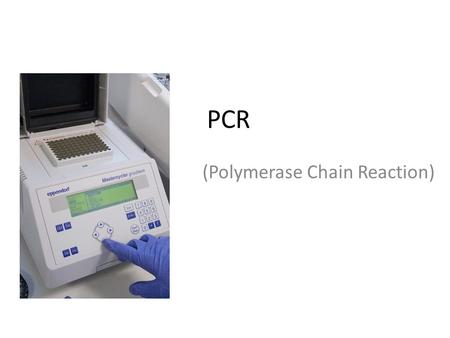 (Polymerase Chain Reaction)