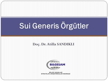 Sui Generis Örgütler Doç. Dr. Atilla SANDIKLI.