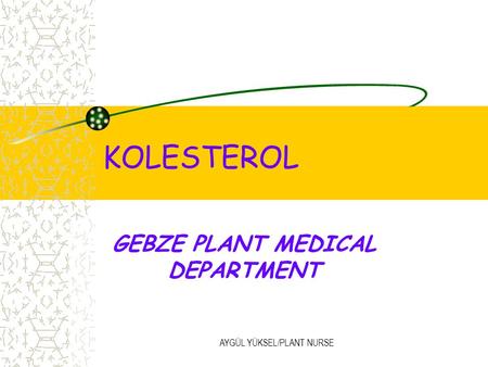 AYGÜL YÜKSEL/PLANT NURSE KOLESTEROL GEBZE PLANT MEDICAL DEPARTMENT.