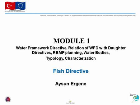 MODULE 1 MODULE 1 Water Framework Directive, Relation of WFD with Daughter Directives, RBMP planning, Water Bodies, Typology, Characterization Fish Directive.