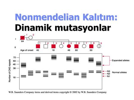 Nonmendelian Kalıtım: Dinamik mutasyonlar