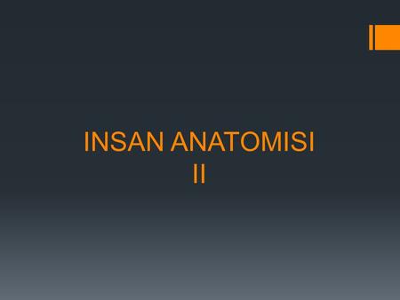 INSAN ANATOMISI II.
