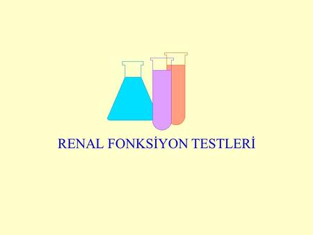 RENAL FONKSİYON TESTLERİ