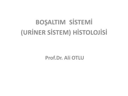 BOŞALTIM SİSTEMİ (URİNER SİSTEM) HİSTOLOJİSİ Prof.Dr. Ali OTLU