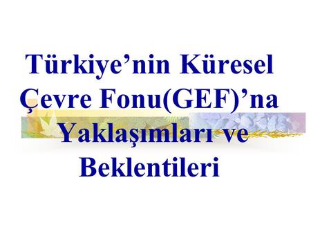 Türkiye’nin Küresel Çevre Fonu(GEF)’na Yaklaşımları ve Beklentileri