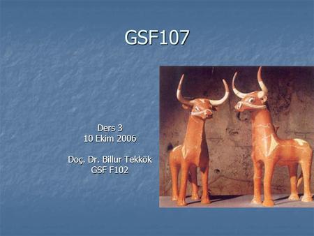 Ders 3 10 Ekim 2006 Doç. Dr. Billur Tekkök GSF F102