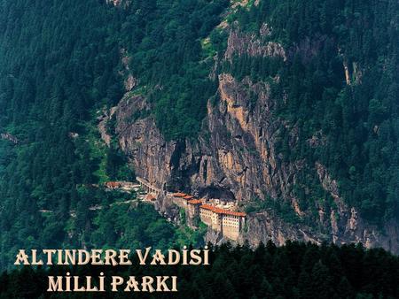 ALTINDERE VADİSİ MİLLİ PARKI