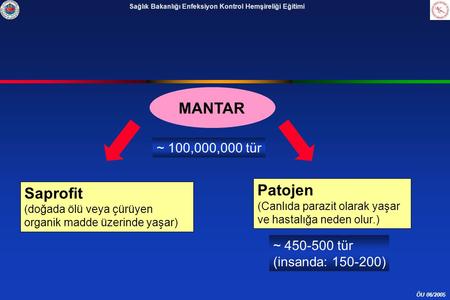 MANTAR Patojen Saprofit ~ 100,000,000 tür ~ tür