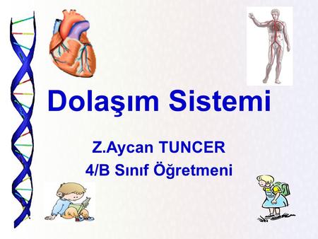 Z.Aycan TUNCER 4/B Sınıf Öğretmeni