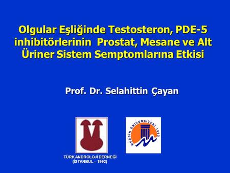 Prof. Dr. Selahittin Çayan TÜRK ANDROLOJİ DERNEĞİ (İSTANBUL – 1992)