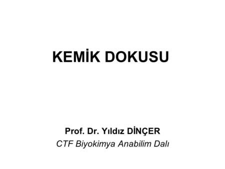 Prof. Dr. Yıldız DİNÇER CTF Biyokimya Anabilim Dalı