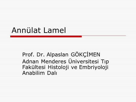 Annülat Lamel Prof. Dr. Alpaslan GÖKÇİMEN