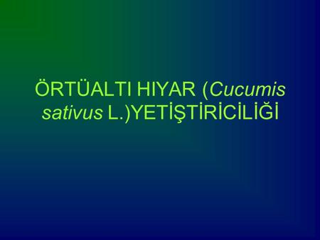 ÖRTÜALTI HIYAR (Cucumis sativus L.)YETİŞTİRİCİLİĞİ