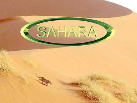 Eğer sizlere : « Sahara sözcüğü sizin için ne ifade ediyor ? » diye sorsam, Öyle sanıyorum ki bana : « Kum…kum…kum…sadece kum yığını” Diye cevap verirdiniz.