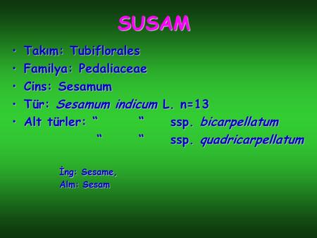 SUSAM Takım: Tubiflorales Familya: Pedaliaceae Cins: Sesamum