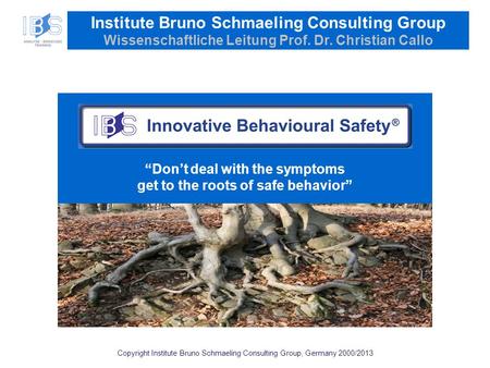 Copyright Institute Bruno Schmaeling Consulting Group, Germany 2000/2013 Institute Bruno Schmaeling Consulting Group Wissenschaftliche Leitung Prof. Dr.
