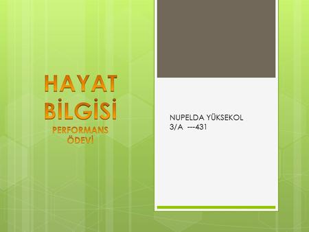 HAYAT BİLGİSİ PERFORMANS ÖDEVİ NUPELDA YÜKSEKOL 3/A ---431.