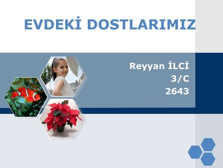 EVDEKİ DOSTLARIMIZ Reyyan İLCİ 3/C 2643.