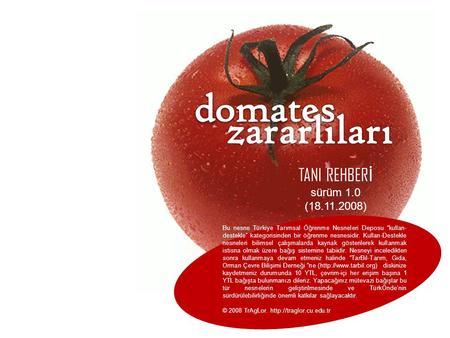 domates zararlıları TANI REHBERİ sürüm 1.0 ( )