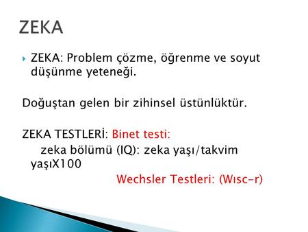ZEKA ZEKA: Problem çözme, öğrenme ve soyut düşünme yeteneği.