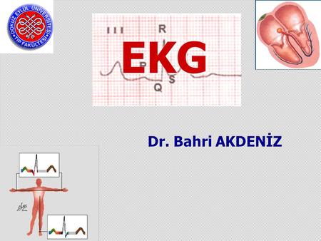 EKG Dr. Bahri AKDENİZ.