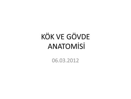 KÖK VE GÖVDE ANATOMİSİ 06.03.2012.
