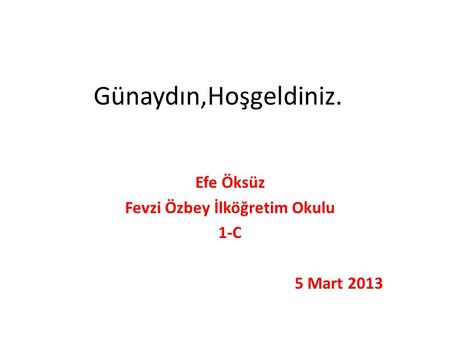 Efe Öksüz Fevzi Özbey İlköğretim Okulu 1-C 5 Mart 2013