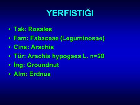 YERFISTIĞI Tak: Rosales Fam: Fabaceae (Leguminosae) Cins: Arachis