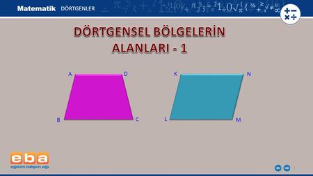 DÖRTGENSEL BÖLGELERİN