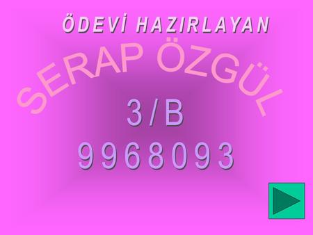 ÖDEVİ HAZIRLAYAN SERAP ÖZGÜL 3/B 9968093.