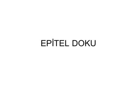 EPİTEL DOKU.
