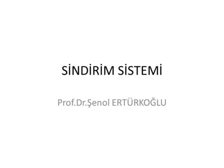 Prof.Dr.Şenol ERTÜRKOĞLU