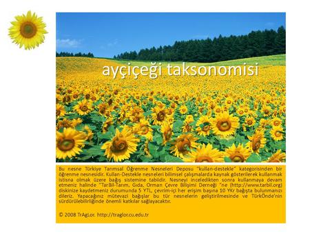 Ayçiçeği taksonomisi Bu nesne Türkiye Tarımsal Öğrenme Nesneleri Deposu “kullan-destekle” kategorisinden bir öğrenme nesnesidir. Kullan-Destekle nesneleri.
