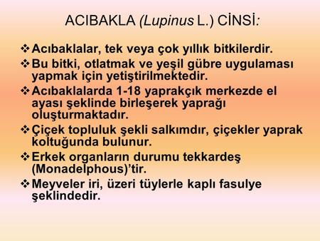 ACIBAKLA (Lupinus L.) CİNSİ: