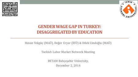 Gender Wage Gap in Turkey: Disaggregated by educatIon