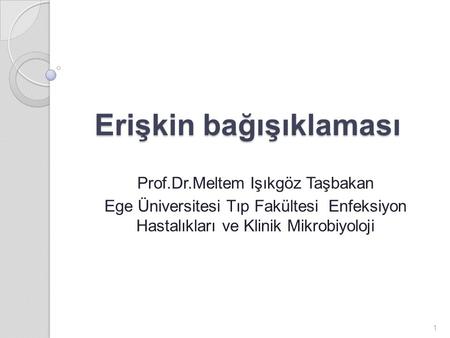 Erişkin bağışıklaması